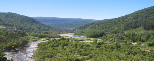 valle de las vacas